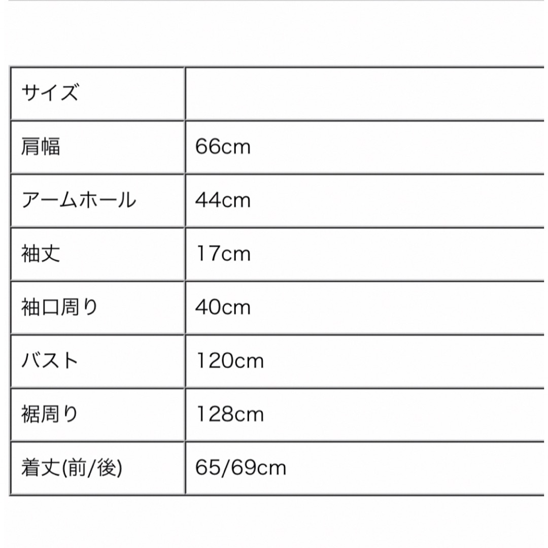 osharewalker(オシャレウォーカー)の半袖シャツ レディースのトップス(シャツ/ブラウス(半袖/袖なし))の商品写真