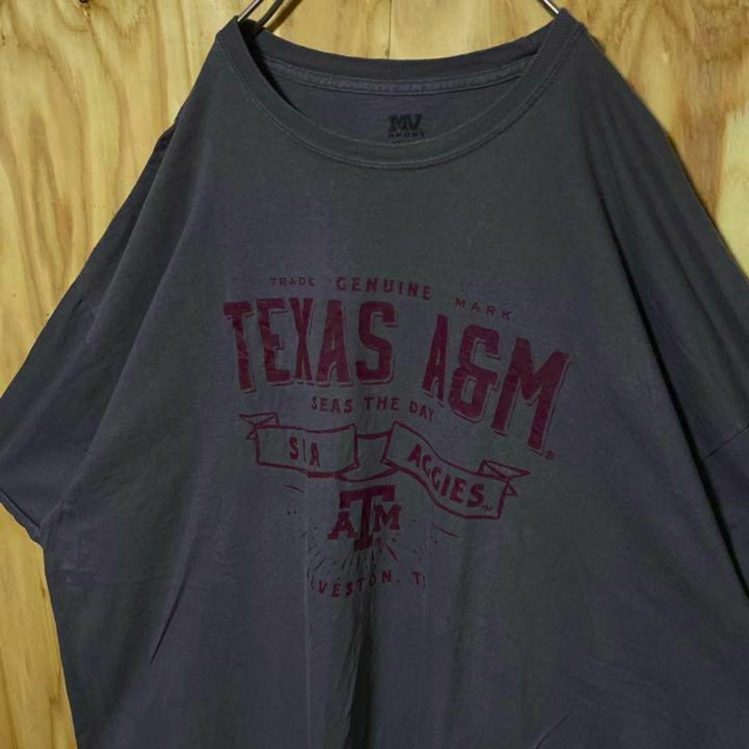 チャコール グレー チームロゴ USA古着 90s 半袖 Tシャツ エンジ メンズのトップス(Tシャツ/カットソー(半袖/袖なし))の商品写真
