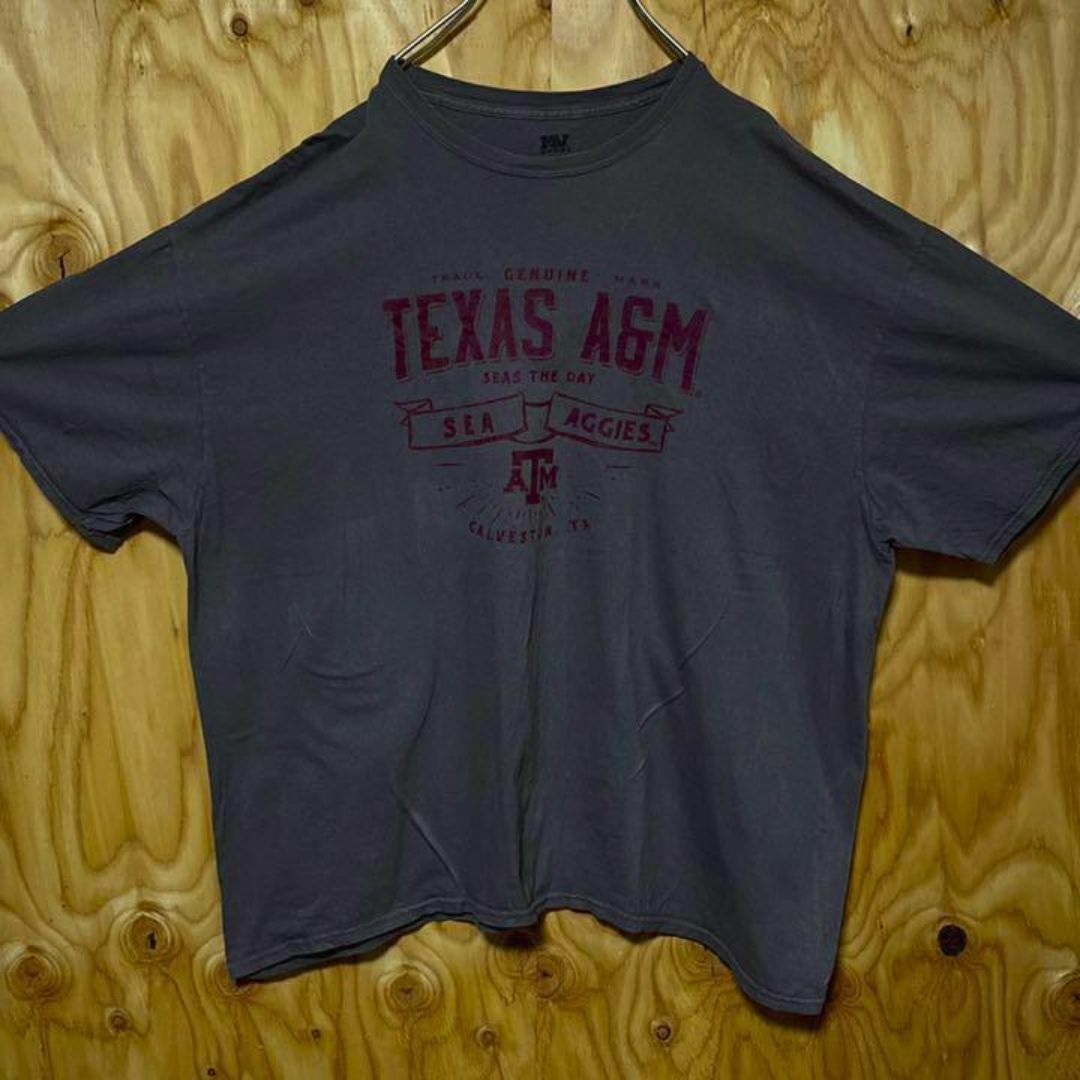 チャコール グレー チームロゴ USA古着 90s 半袖 Tシャツ エンジ メンズのトップス(Tシャツ/カットソー(半袖/袖なし))の商品写真