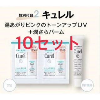 キュレル(Curel)のキュレル　美的　付録(フェイスクリーム)