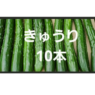 きゅうり10本(野菜)