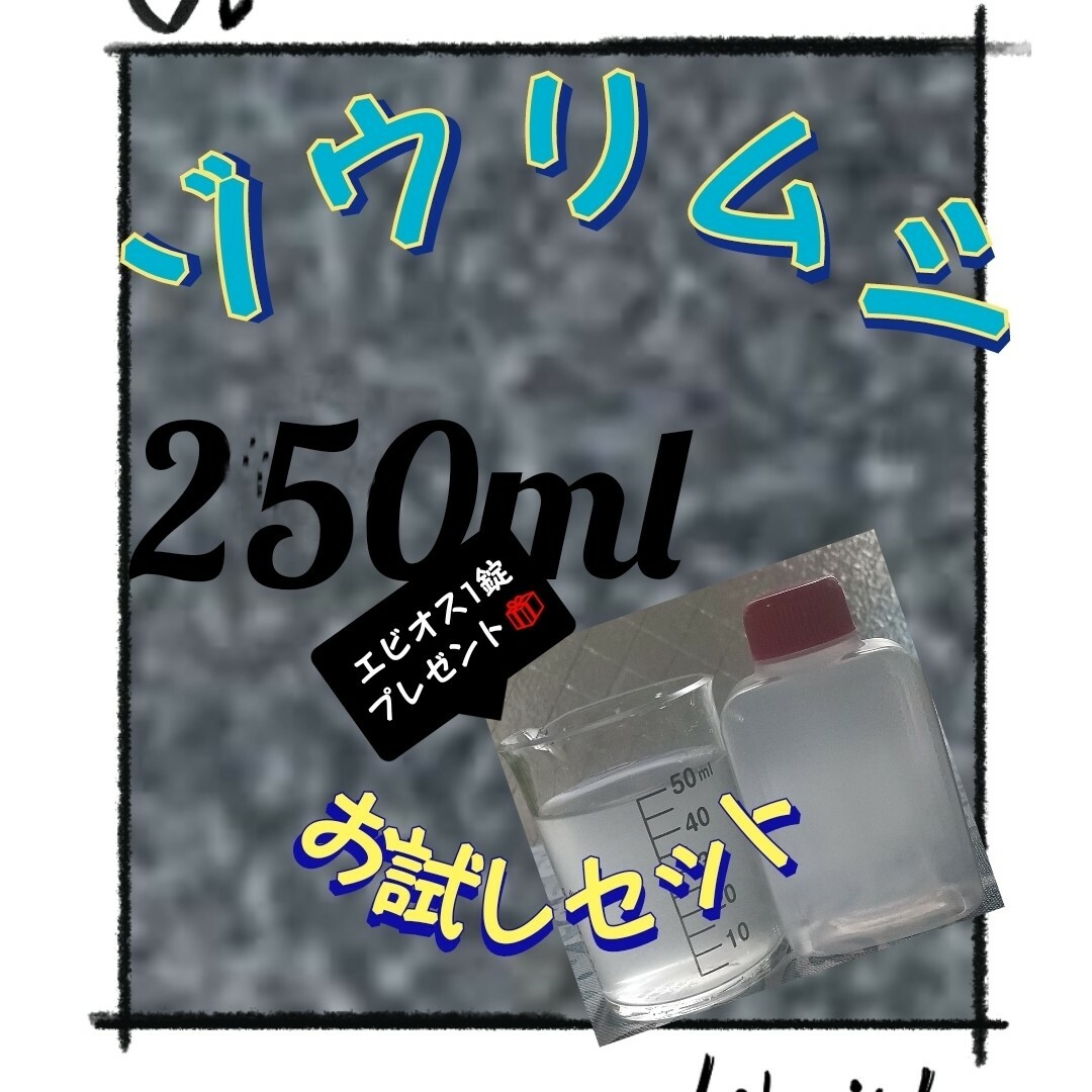 ゾウリムシ 250ml 培養 種水 お試しセット!!エビオスプレゼント その他のペット用品(アクアリウム)の商品写真