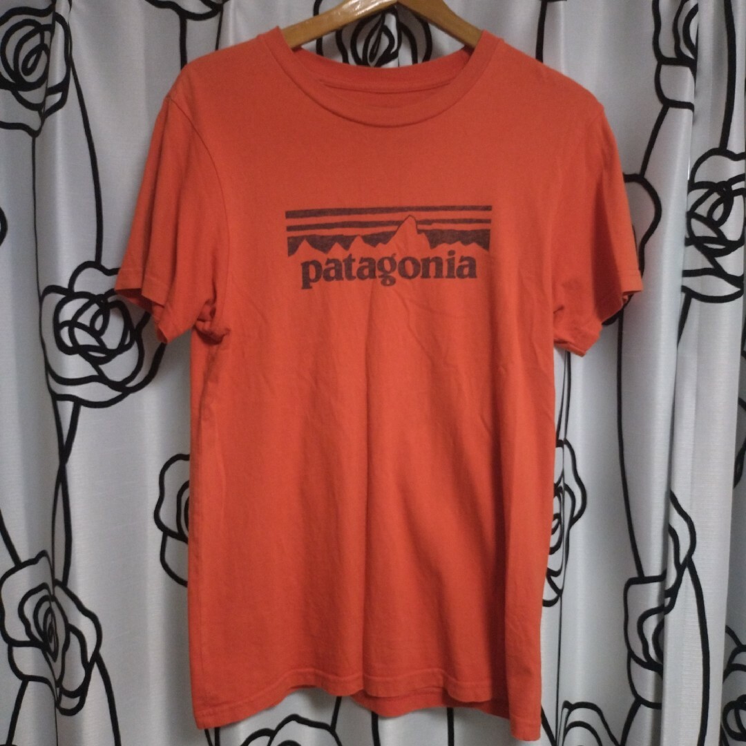 patagonia(パタゴニア)のパタゴニア　ビッグロゴ　Tシャツ メンズのトップス(Tシャツ/カットソー(半袖/袖なし))の商品写真