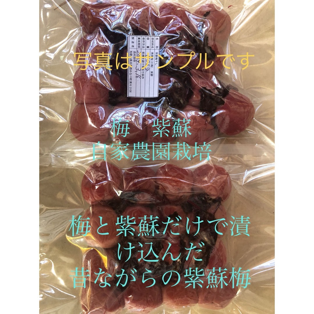 和歌山　紀州　紫蘇梅　南高梅使用　農家直送　お徳用 食品/飲料/酒の加工食品(漬物)の商品写真