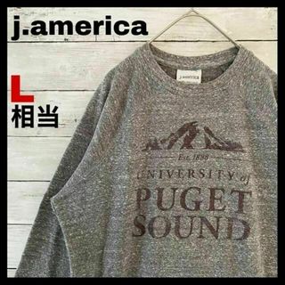 652希少 J.America スウェット カレッジロゴ 霜降り メンズ L相当(スウェット)