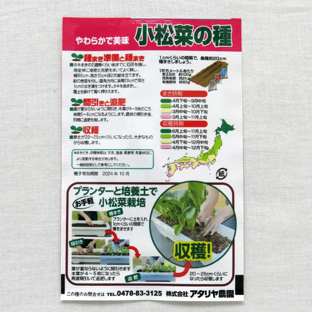 アタリヤ農園 小松菜の種 4袋セット ハンドメイドのフラワー/ガーデン(その他)の商品写真