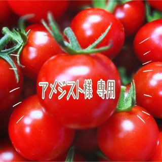 ミニトマト　小鈴キング３ｋｇ(野菜)