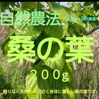 自然農法　桑の生葉（新芽部分）(野菜)