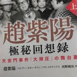 趙紫陽極秘回想録(文学/小説)