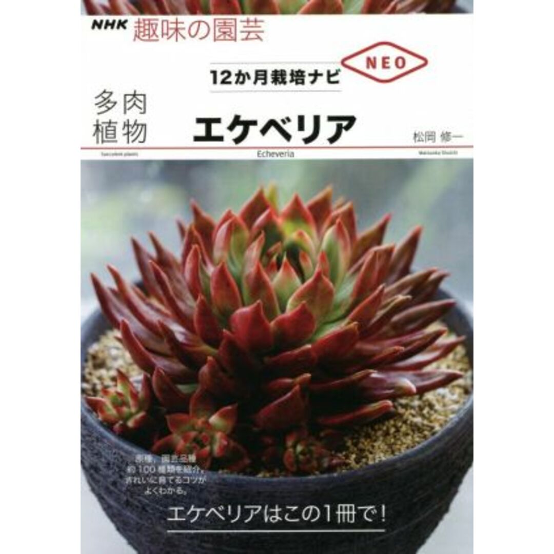 趣味の園芸　多肉植物エケべリア ＮＨＫ趣味の園芸　１２か月栽培ナビＮＥＯ／松岡修一(著者) エンタメ/ホビーの本(住まい/暮らし/子育て)の商品写真