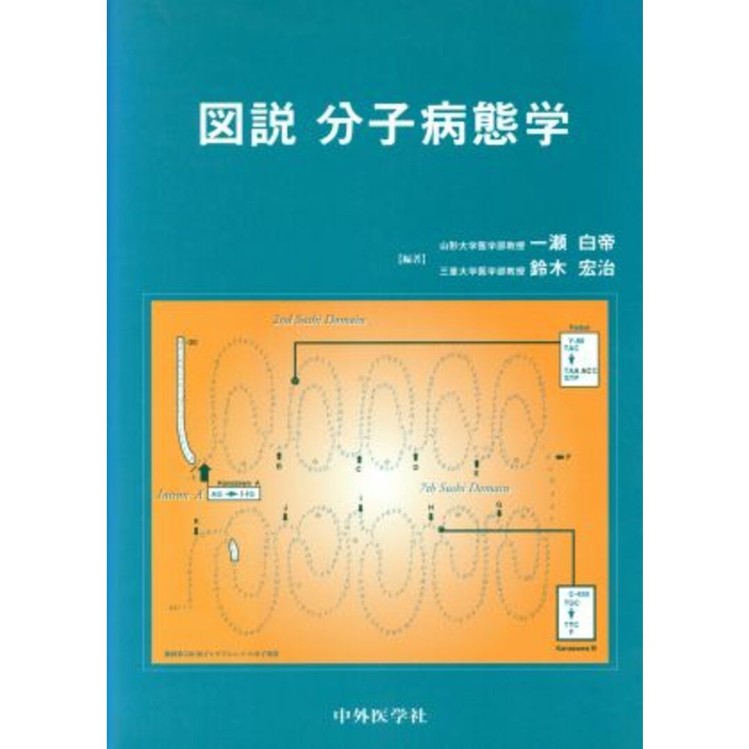 図説　分子病態学／一瀬白帝(著者) エンタメ/ホビーの本(健康/医学)の商品写真