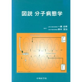 図説　分子病態学／一瀬白帝(著者)(健康/医学)