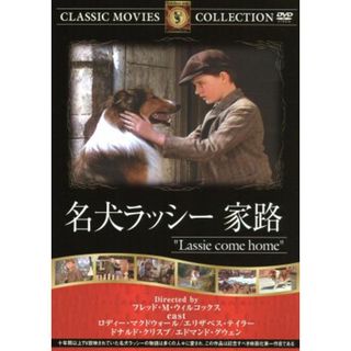 名犬ラッシー　家路(外国映画)