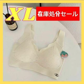 【在庫処分セール】育乳ブラ XL トップブラ ナイトブラ パッド付き ジム(ブラ)
