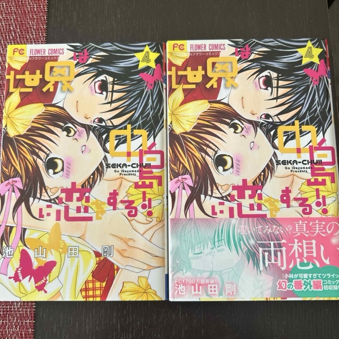 世界は中島に恋をする!! 少女漫画 池山田剛 コミック エンタメ/ホビーの漫画(少女漫画)の商品写真