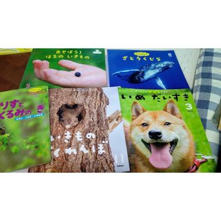 多読絵本５冊『がっけんなど』(絵本/児童書)