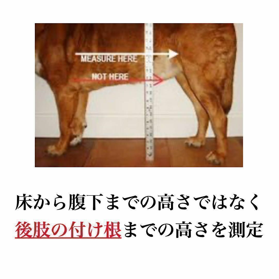 総額16万円以上　犬用車椅子　介護用品 Walkin Wheels その他のペット用品(犬)の商品写真