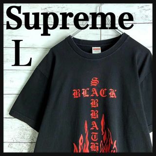 シュプリーム(Supreme)の9247【人気Lサイズ】シュプリーム☆即完売モデルtシャツ　入手困難　美品(Tシャツ/カットソー(半袖/袖なし))