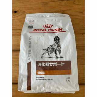 ロイヤルカナン(ROYAL CANIN)のロイヤルカナン　消化器サポート1kg(ペットフード)