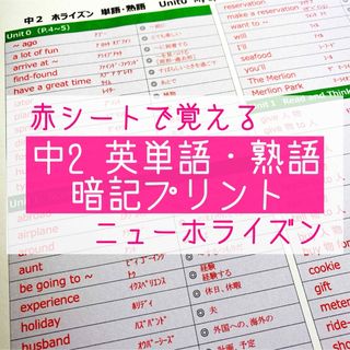 中2英語　英単語・熟語 暗記プリント（ニューホライズン）★定期テスト・受験対策(語学/参考書)