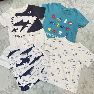 ニシマツヤ(西松屋)の西松屋 海の生き物 Tシャツ 90・95 まとめ売り 4枚 魚 サメ 鯨 海月(Tシャツ/カットソー)