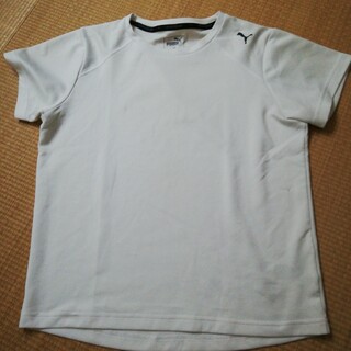 PUMA半袖tシャツ(Tシャツ/カットソー(半袖/袖なし))
