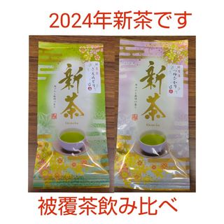 2024年新茶 静岡県牧之原市産 被覆茶さえみどり/つゆひかり　飲み比べ(茶)