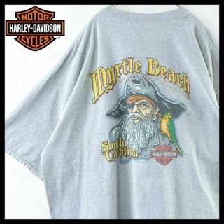 ハーレーダビッドソン(Harley Davidson)の【希少】ハーレーダビッドソン BEEFY Tシャツ 00s 胸ポケット 入手困難(Tシャツ/カットソー(半袖/袖なし))