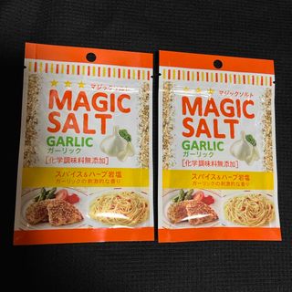 エルビーショクヒン(エスビー食品)の2袋●エスビー食品●マジックソルト ガーリック★各20g★送料込みクーポン消費(調味料)