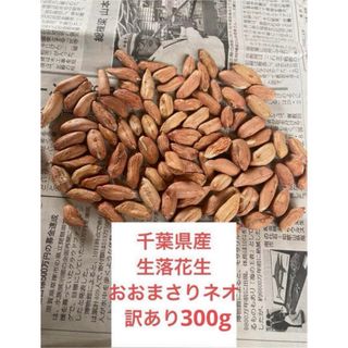 千葉県産生落花生　おおまさりネオ訳あり300g(野菜)