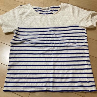 Tシャツ　Mサイズ相当(シャツ/ブラウス(半袖/袖なし))