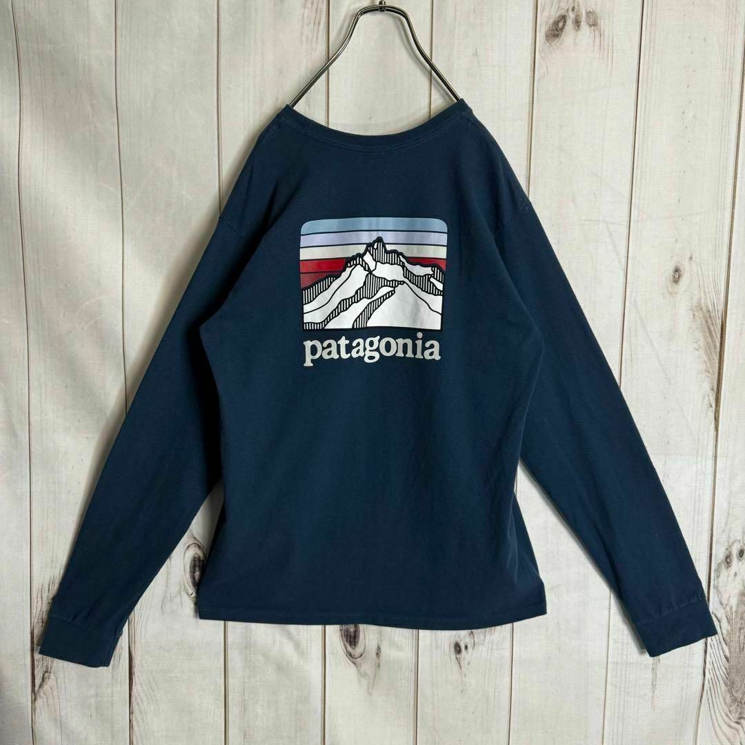 patagonia(パタゴニア)の【希少カラー】　パタゴニア　ロンT ビッグプリント　セージカラー　Ｍ メンズのトップス(Tシャツ/カットソー(七分/長袖))の商品写真