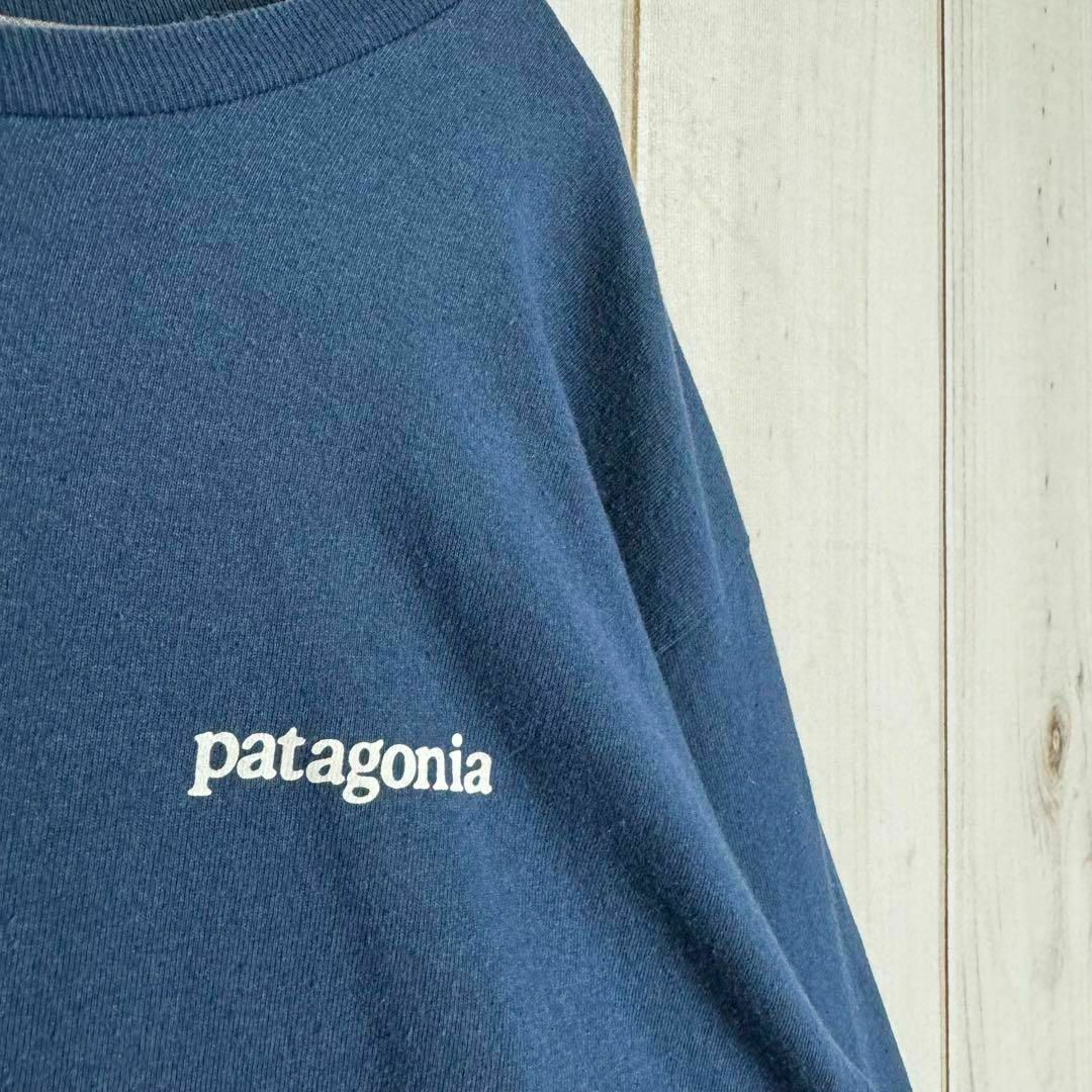 patagonia(パタゴニア)の【希少カラー】　パタゴニア　ロンT ビッグプリント　セージカラー　Ｍ メンズのトップス(Tシャツ/カットソー(七分/長袖))の商品写真