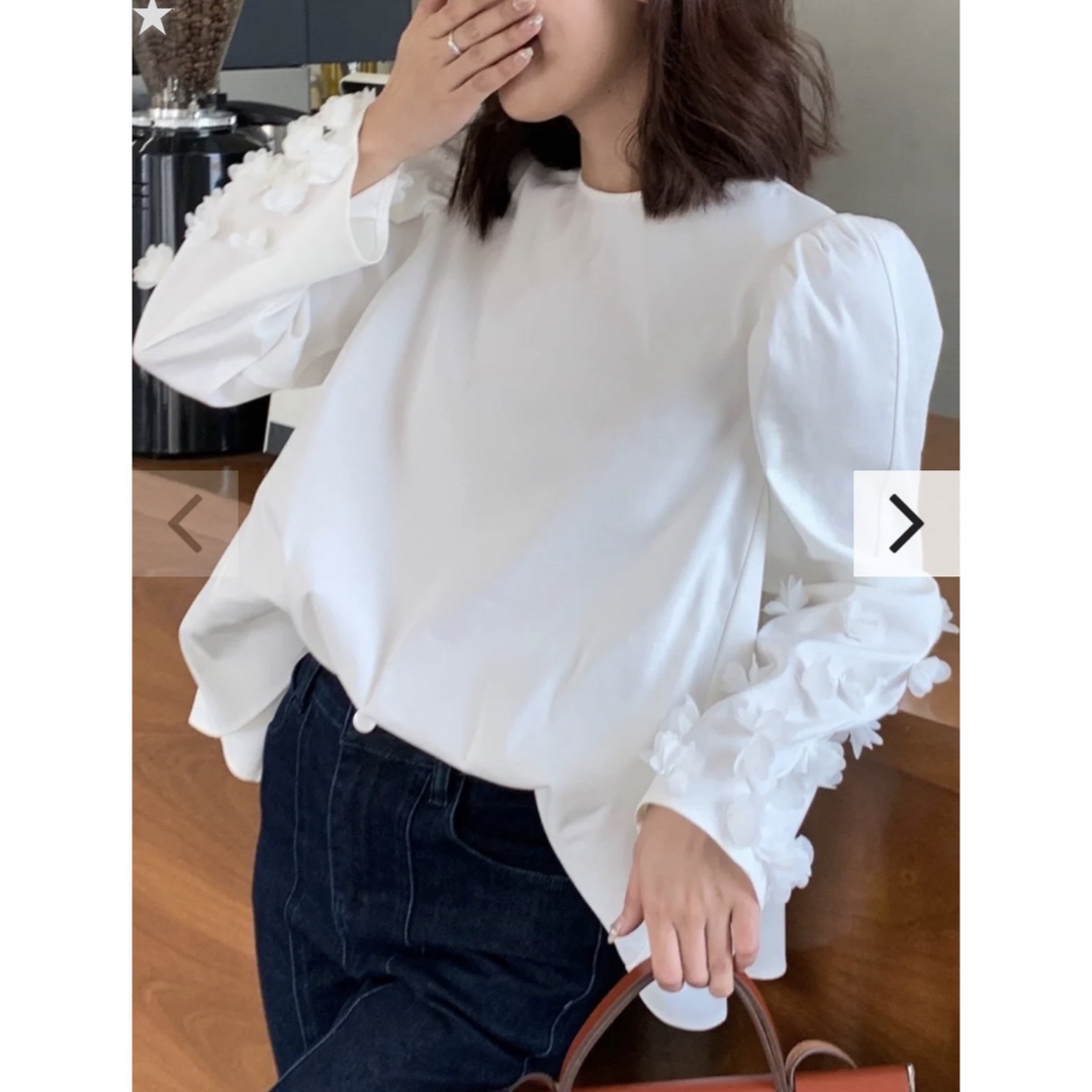 BIRTHDAY BASH(バースデーバッシュ)のbirthdaybash LILIY FLOWER PUFF TOPS レディースのトップス(シャツ/ブラウス(長袖/七分))の商品写真