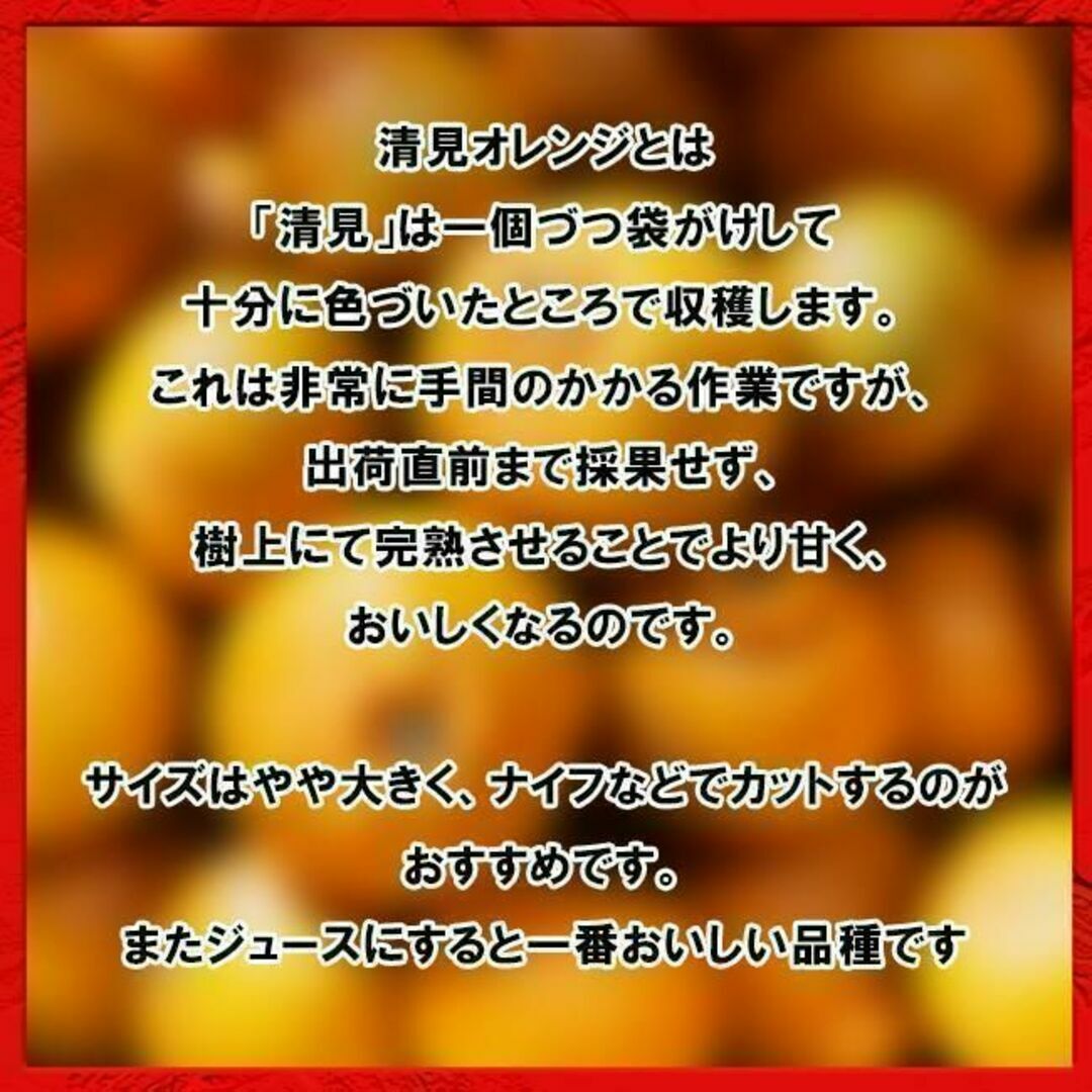 清見みかん 訳あり 5kg 和歌山県産 清見オレンジ 旬の果物 食品/飲料/酒の食品(フルーツ)の商品写真