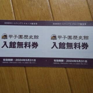 ハンシンタイガース(阪神タイガース)の甲子園歴史館  入館無料券  ２枚(野球)