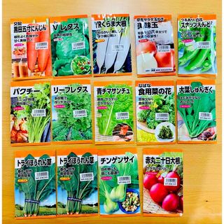 【新品】14袋まとめ売り☆ニチノウのタネ☆玉葱人参レタスえんどう大根ほうれん草(野菜)