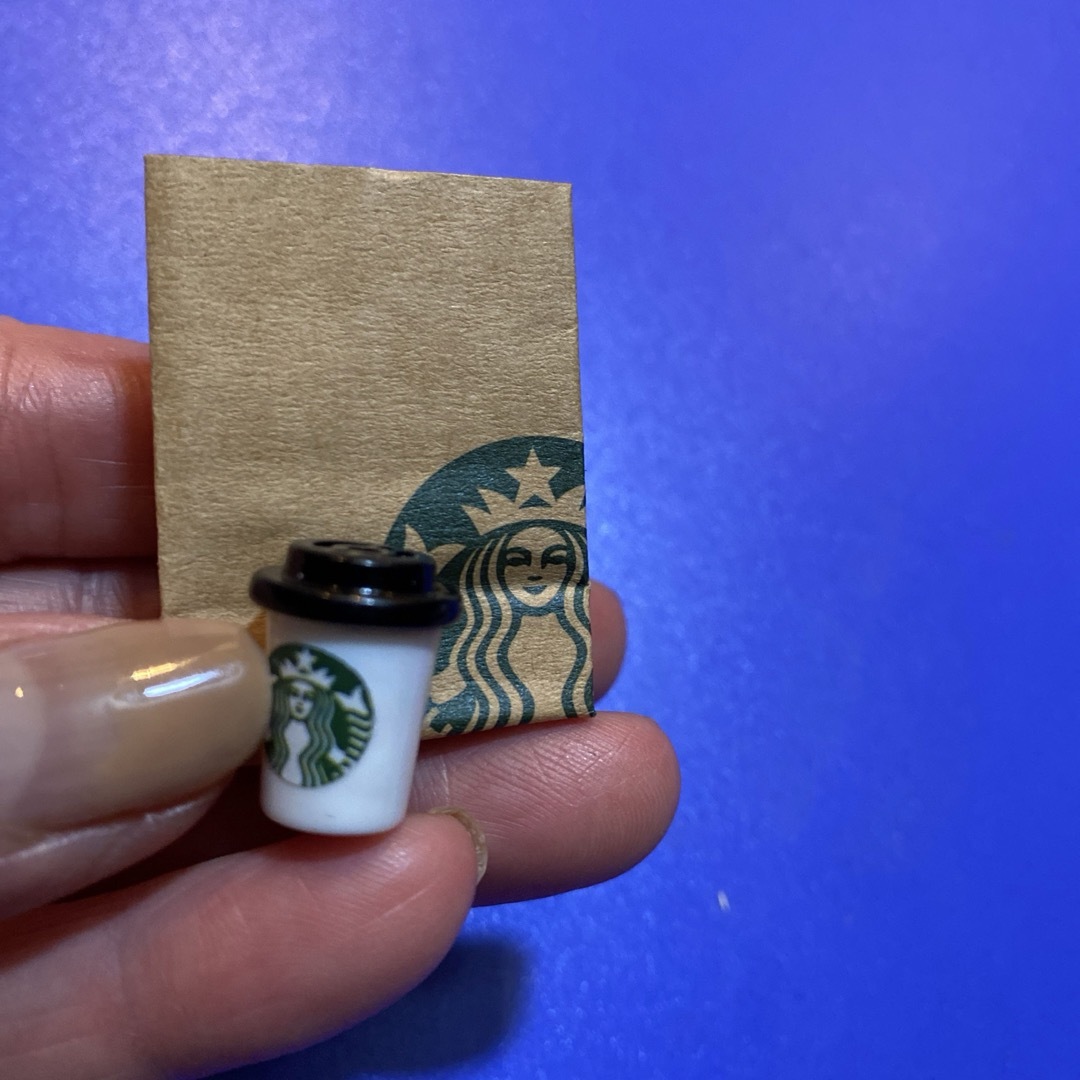 Starbucks Coffee(スターバックスコーヒー)のミニチュアドリンク　スターバックスコーヒー　カップドリンク　ペーパーバック ハンドメイドのおもちゃ(ミニチュア)の商品写真