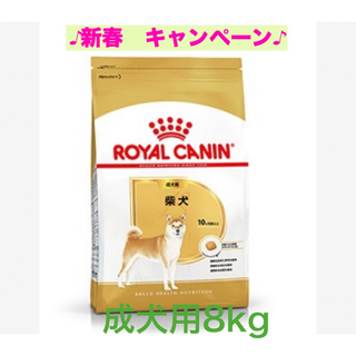 ロイヤルカナン(ROYAL CANIN)のロイヤルカナン　柴犬成犬用8kg (ペットフード)