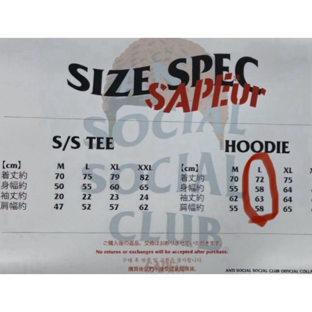 SAPEur x ASSC 超限定コラボフーディー/カラー green/サイズL メンズのトップス(パーカー)の商品写真