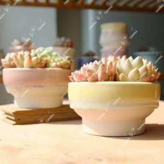 N0341 韓国  4号 2個セット 大 雫 窯変 貫入 浮彫 植木鉢 陶器鉢(プランター)