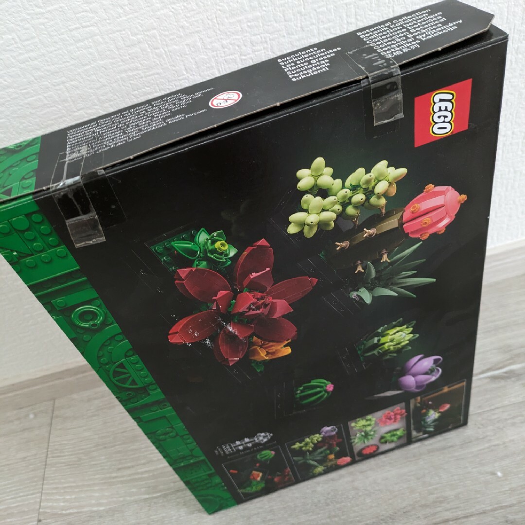 Lego(レゴ)のLEGO レゴ 多肉植物 ボタニカル 美品 欠パーツなし完品 10309 エンタメ/ホビーのおもちゃ/ぬいぐるみ(その他)の商品写真