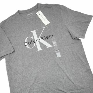 カルバンクライン　CalvinKlein　ブランドロゴTシャツ　グレー　US L