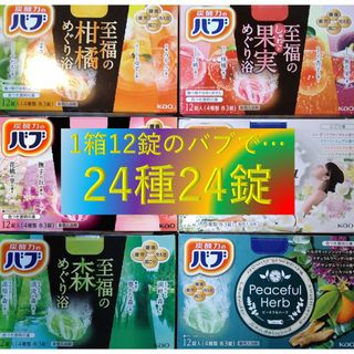 【花王 バブ 詰め合わせ 24種24錠】 薬用 入浴剤 20B(入浴剤/バスソルト)