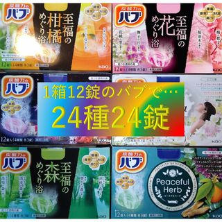 【花王 バブ 詰め合わせ 24種24錠】 薬用 入浴剤 20E(入浴剤/バスソルト)