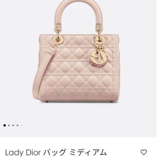 Dior - ディオール　レディディオール　バッグ　ミディアム