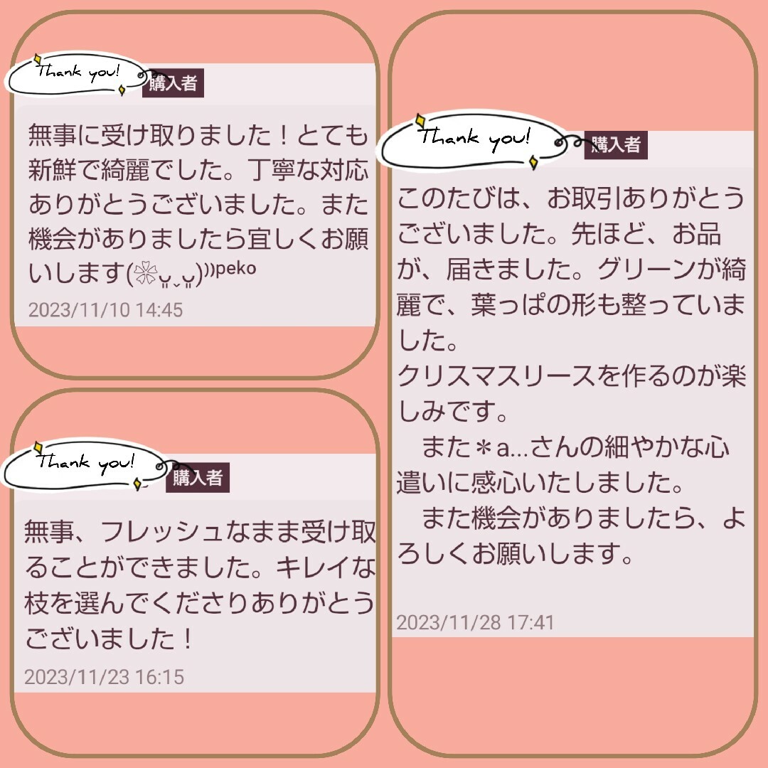 1 農薬栽培期間中不使用みかん 葉 50枚　アゲハ蝶　青虫　虫　餌 みかんの葉 その他のペット用品(虫類)の商品写真