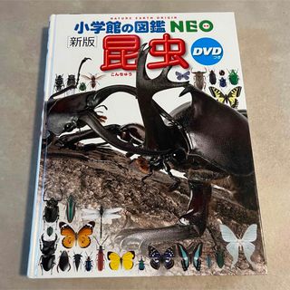 ショウガクカン(小学館)の小学館の図鑑　NEO 新版　昆虫　DVD付き(その他)