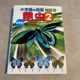 ショウガクカン(小学館)の小学館の図鑑　NEO 昆虫2 DVD付き(絵本/児童書)