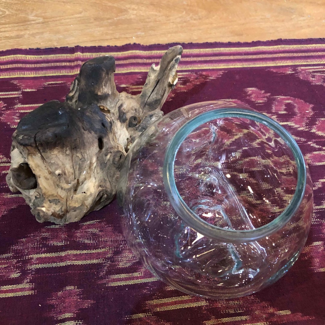 流木ガラス オブジェ中9 花瓶 金魚鉢 ガーデニング テラリウム 観賞魚 容器 その他のペット用品(アクアリウム)の商品写真